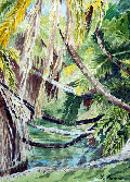 Branches Over The Lake at Fairchild - 8.5 x 11